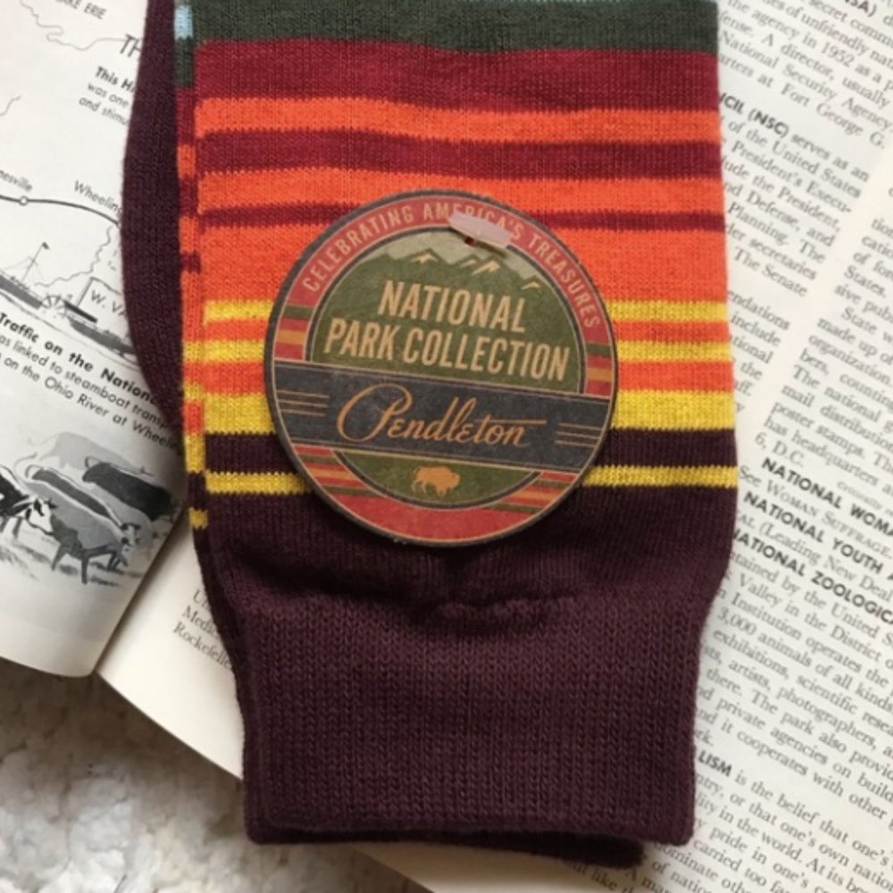 Pendleton UNISEX Smoky Mountain National Park Collection Stripe Socks - Picture 6 of 12